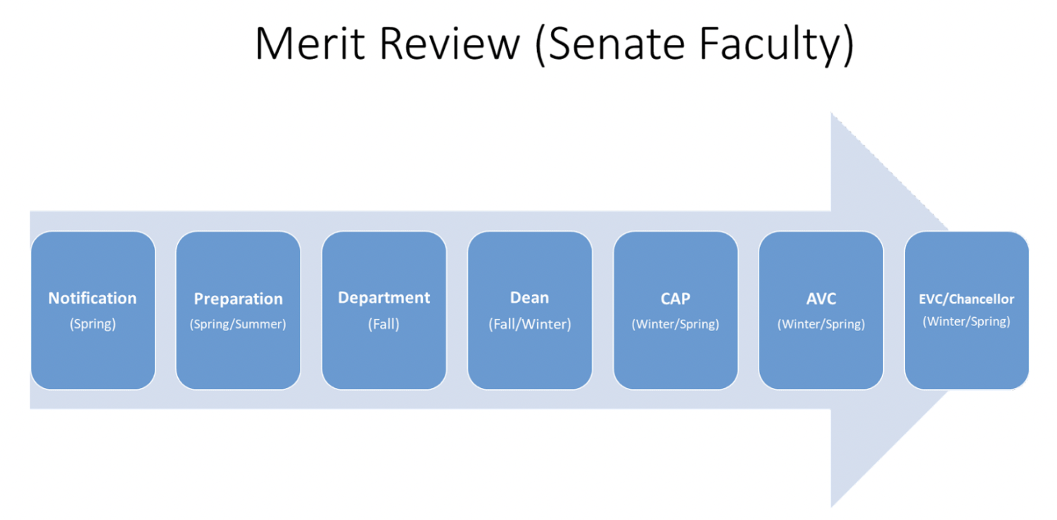 Diagram of merit review process