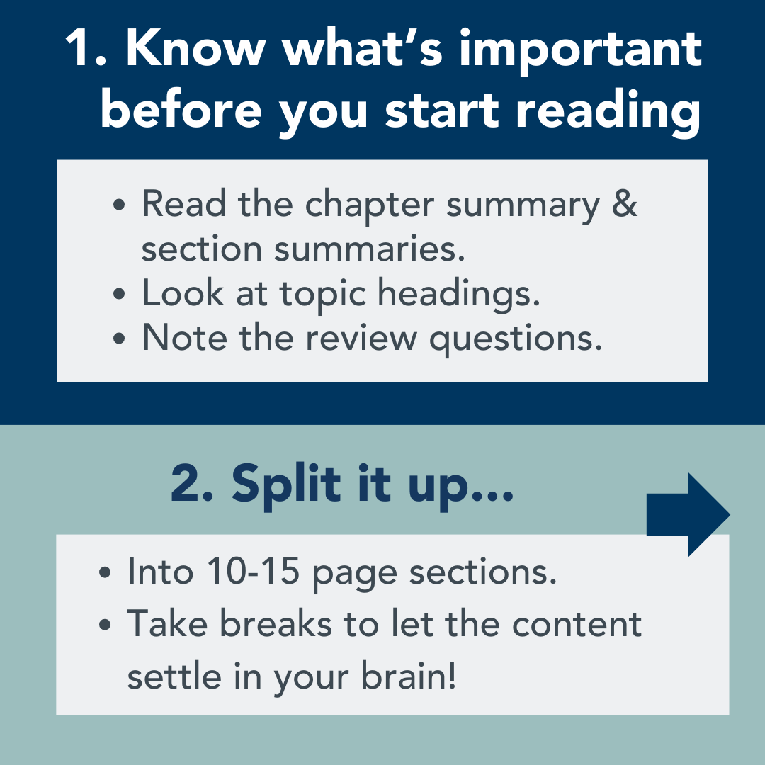 Read chapter summaries, headings, and questions