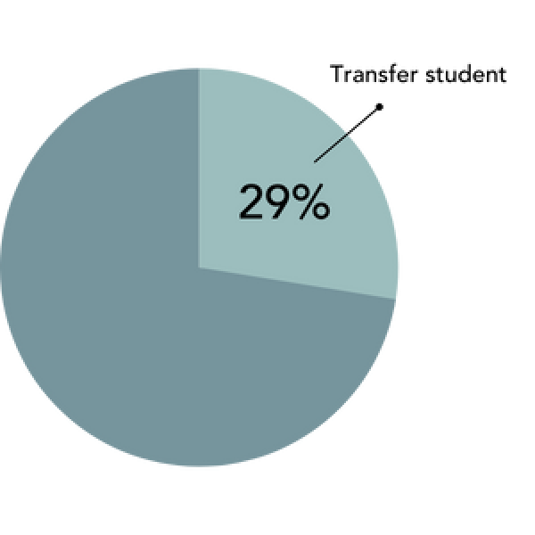 teal colored pie chart graphic depicting twenty nine percent