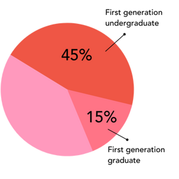 red and pink pie chart graphic depicting forty five and fifteen percent